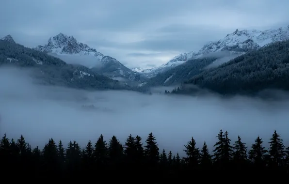 Picture winter, the sky, clouds, snow, trees, mountains, nature, fog