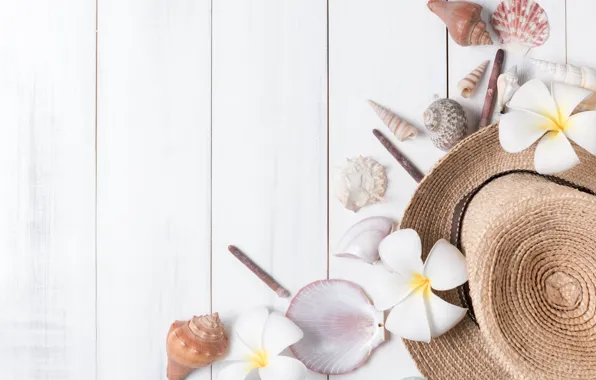 Picture beach, summer, flowers, stay, star, vacation, hat, shell