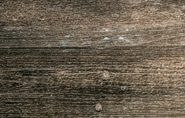Color, structure, wood