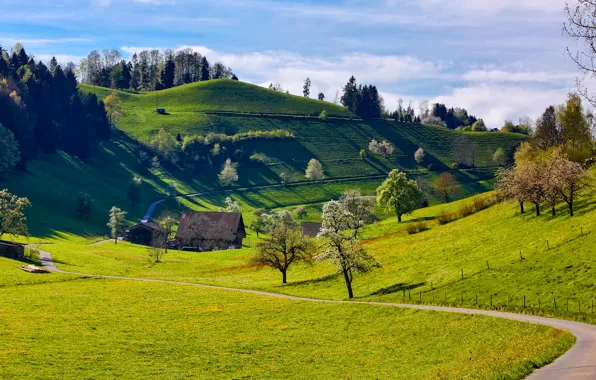 Picture grass, trees, mountains, house, hills, spring, track, flowering