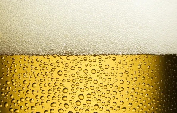Picture Drops, Beer, Freshness, Yellow, Foam