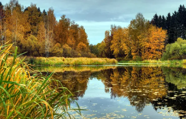 Picture autumn, leaves, trees, nature, reflection, river