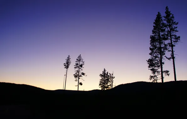 Picture the sky, trees, hills, the evening, silhouette