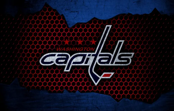 Washington Capitals – PixelHooker