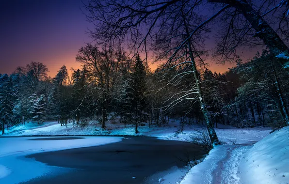 Winter, night, nature