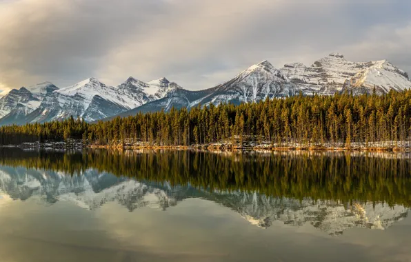 Picture forest, mountains, lake, reflection, Canada, Albert, Banff National Park, Alberta