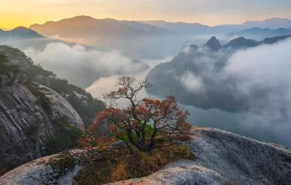 Autumn, clouds, landscape, mountains, nature, fog, river, tree