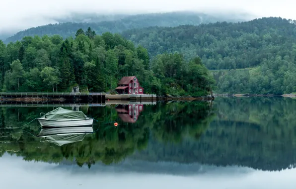Picture forest, trees, fog, lake, house, boat, Landscapes