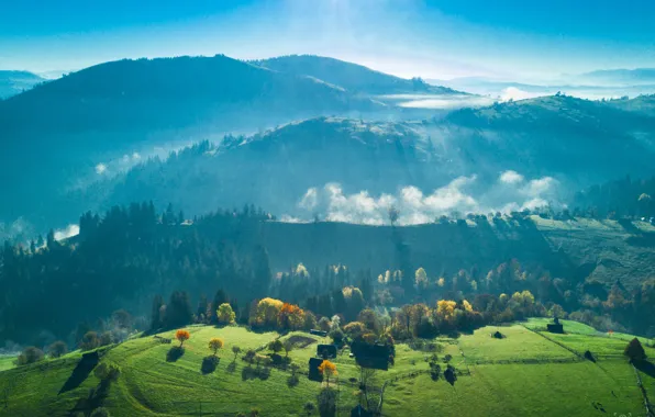 Picture greens, grass, the sun, rays, trees, mountains, valley