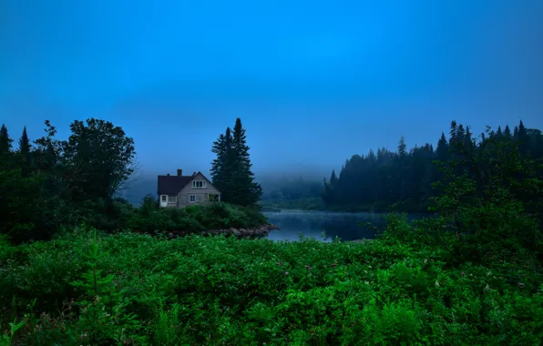 Greens, forest, water, trees, fog, house, Canada, river