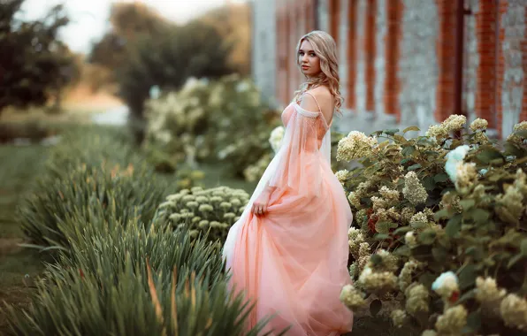 Look, girl, flowers, nature, Park, vegetation, dress, blonde