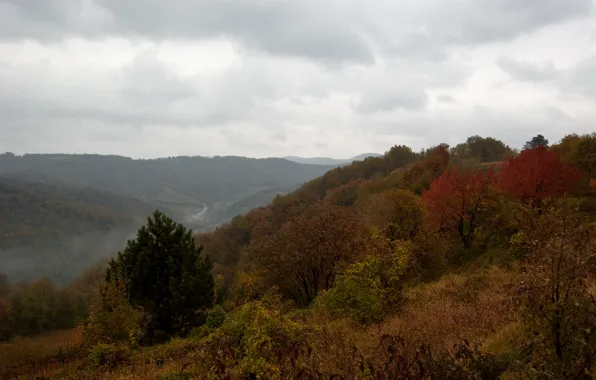 Picture mountains, fog, hills, Autumn, autumn, mountains, fog, fall