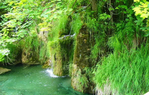 Greens, water, lake, waterfall, transparent, pond, Croatia, national Park