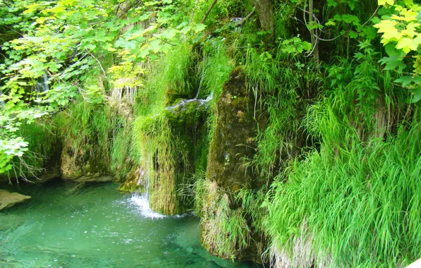 Picture greens, water, lake, waterfall, transparent, pond, Croatia, national Park