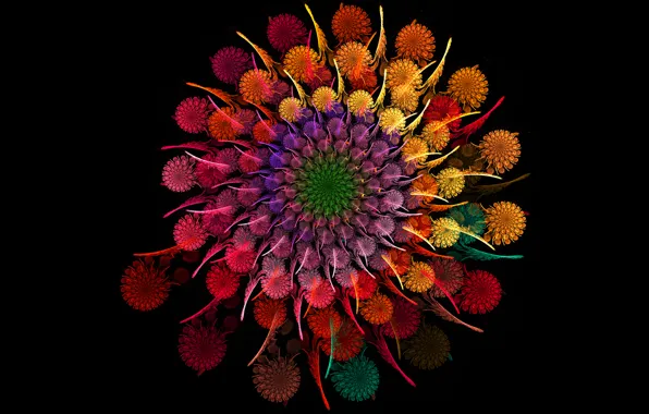 Picture flower, round, rainbow, bouquet, spiral, petals