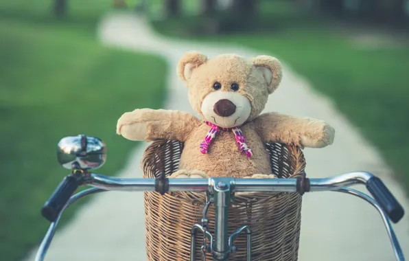 Summer, bike, basket, toy, bear, bear, summer, vintage