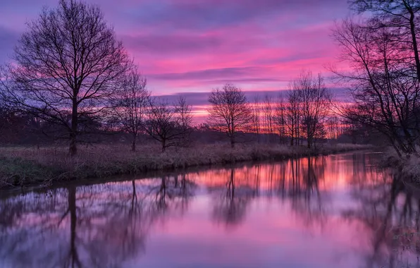 Picture night, nature, river