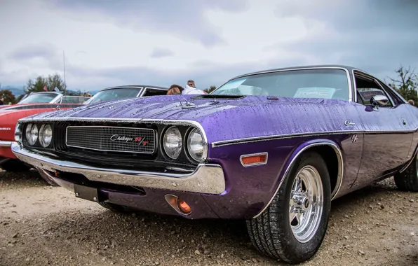 Purple, Dodge, Dodge Challenger 1971