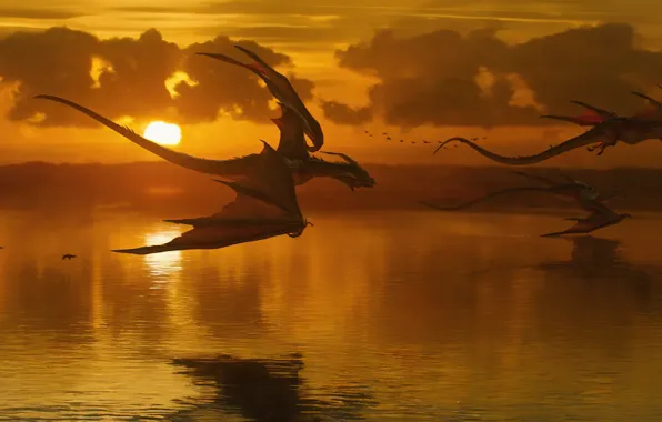 Dragons, at sunset, prehistoric animals, idyll, predatory, bat wings