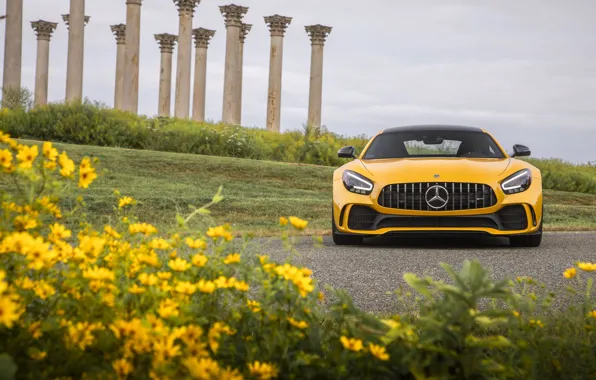 Mercedes-Benz, front view, AMG, GT R, 2020