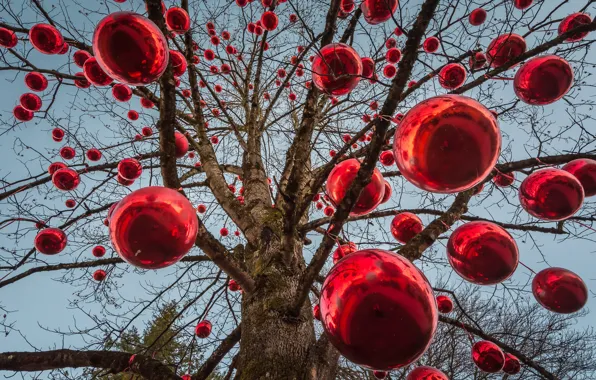 Balls, trees, red, balls, new year, Christmas