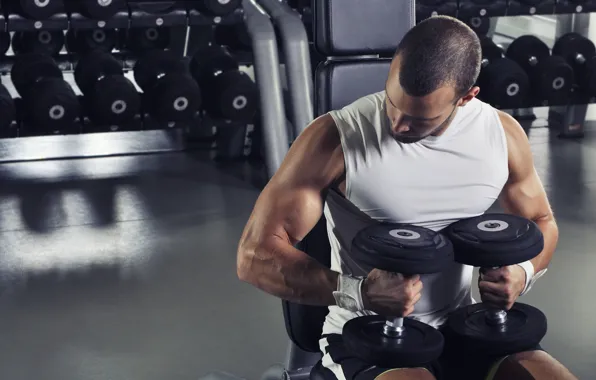 Pose, muscle, training, athlete, dumbbells, biceps, fitness, bodybuilder