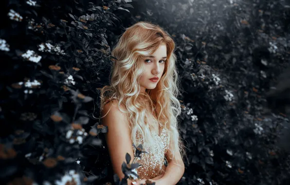 Look, girl, portrait