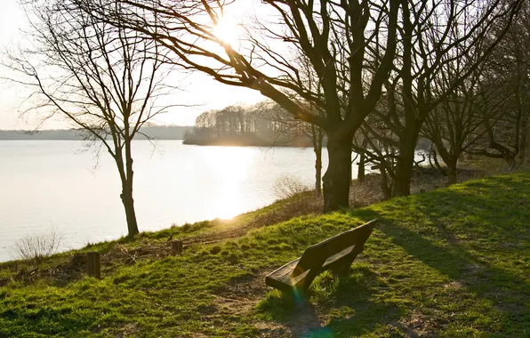 Picture the sun, trees, bench, lake, spring, lawn