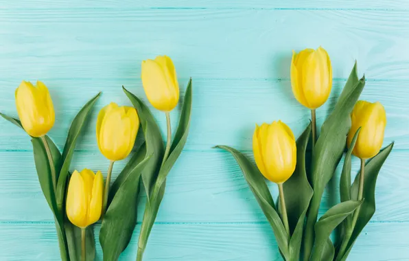 Flowers, yellow, tulips, fresh, yellow, wood, flowers, beautiful
