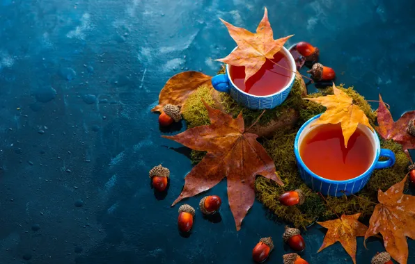 Autumn, leaves, tea, moss, Cup, drink, mugs, still life