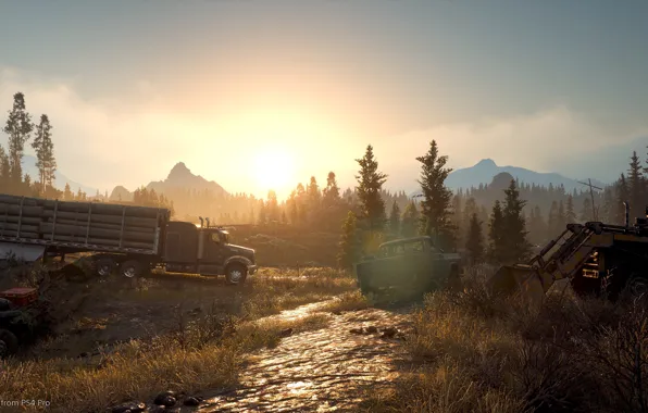 Forest, sunset, machine, the game, game, screenshot, Days Gone, action-adventure