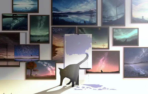 Cat, pictures, draws