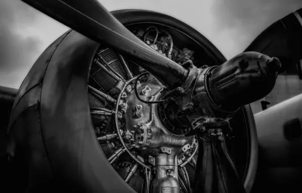 Picture metal, propeller, aircraft engine