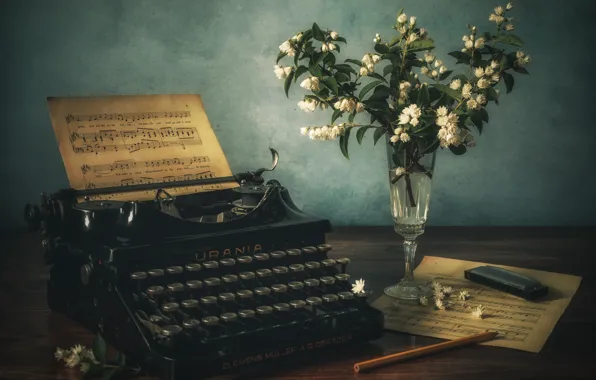 Bouquet, typewriter, still life, Jasmine