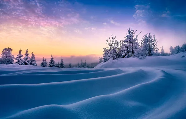 Winter, the sky, snow, trees, landscape, sunset, nature, the snow