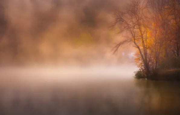 Picture autumn, fog, lake, Park