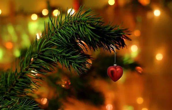 Needles, holiday, heart, tree, branch, decoration