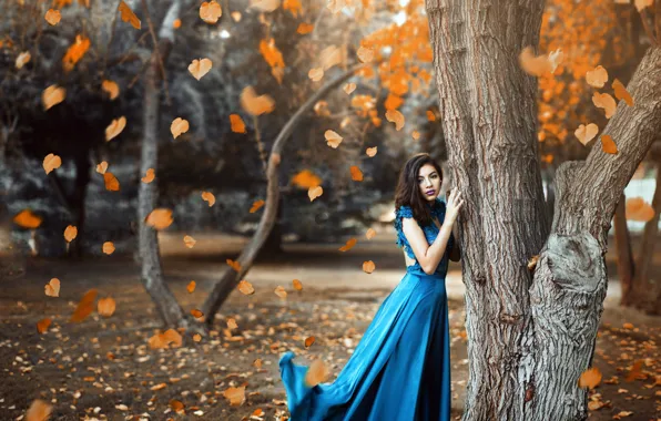 Wallpaper makeup, dress, falling leaves, blue, Ronny Garcia, When the fall is here
