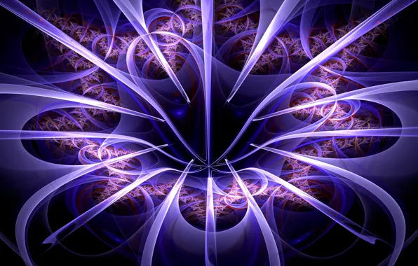 Picture light, line, flowers, petals, the volume