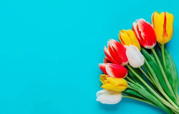 Flowers, yellow, bouquet, spring, colorful, tulips, fresh, yellow