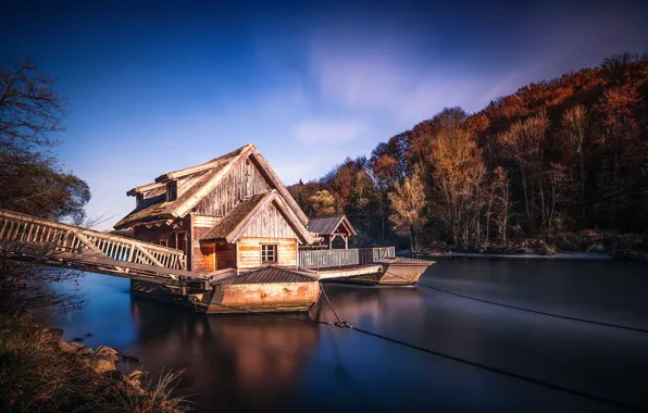 Picture trees, river, home, pier, At the water mill