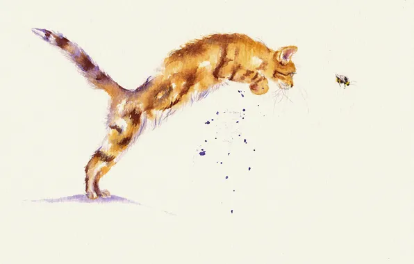 Picture cat, cat, the game, watercolor, hunting, bee
