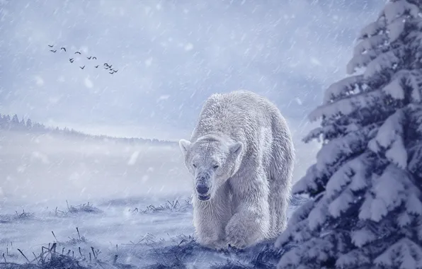 Picture winter, field, forest, white, the sky, face, snow, pose