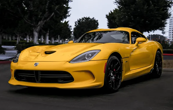 Trees, yellow, viper, Dodge, Viper, front view, yellow, dodge