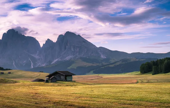Field, forest, the sky, clouds, mountains, rocks, the slopes, tops