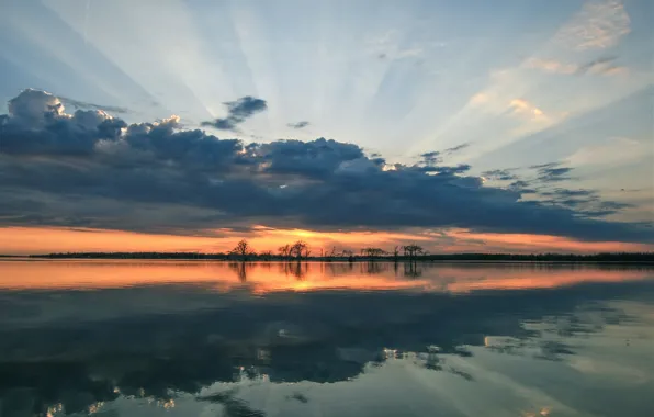 Clouds, Sunset, Lake, Trees