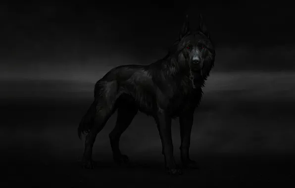 Dog, Key, Dog, Art, Art, Animal, Animal, Key