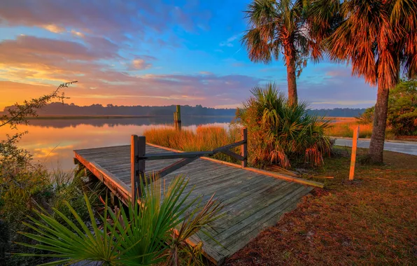The sky, lake, palm trees, the evening, the bridge