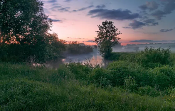 Picture grass, trees, sunset, fog, river, the evening, Russia