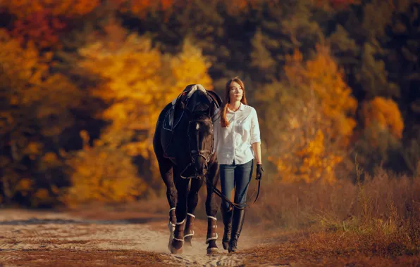 Road, autumn, forest, look, girl, light, nature, horse